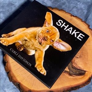 💚 3 for $15 💚 - SHAKE by Carli Davidson Book